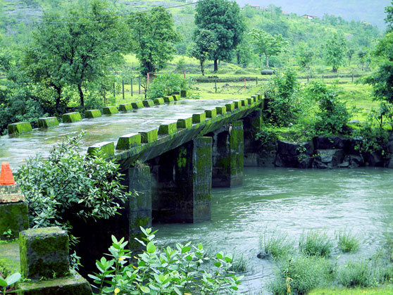 bridge